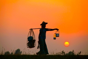 A farmer returns home after his day work at Srimangal.